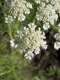 PI_295854_86ncei01_SD_PL_UM_2013-06-18_08.jpg