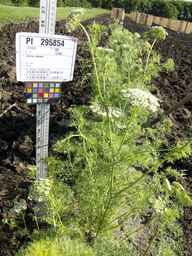 PI_295854_86ncei01_SD_PL_XX_2013-06-18_04.jpg