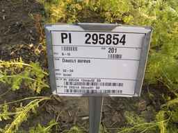 PI_295854_86ncei01_SD_PL_XX_2013-08-02_01.jpg