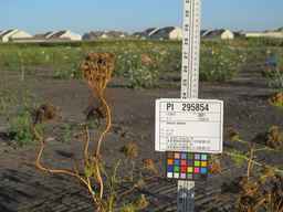 PI_295854_86ncei01_SD_SD_XX_2010-08-27_03.jpg