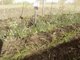 PI_295857_03ncai01_SD_PL_XX_2013-06-28_02.jpg