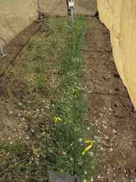 PI_295857_03ncai01_SD_PL_XX_2013-07-29_01.jpg
