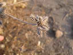 PI_295857_03ncai01_SD_SD_XX_2011-10-18_01.jpg