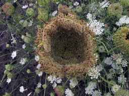 PI_295862_86ncai01_SD_PL_UM_2013-07-31_02.jpg