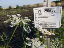 PI_295863_00ncai01_SD_PL_UM_2013-07-01_01.jpg
