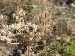 PI_295863_00ncai01_SD_SD_XX_2013-08-29_04.jpg