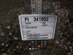PI_341902_03ncai01_SD_PL_XX_2013-07-29_01.jpg