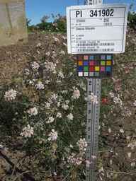 PI_341902_03ncai01_SD_PL_XX_2013-07-29_04.jpg