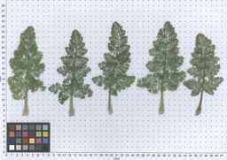 PI_349267_84ncai01_SD_PL_LV_2013-06-17_01.jpg