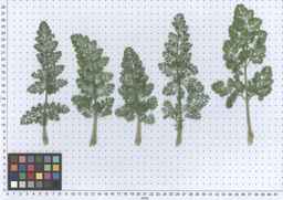 PI_349267_84ncai01_SD_PL_LV_2013-06-17_02.jpg