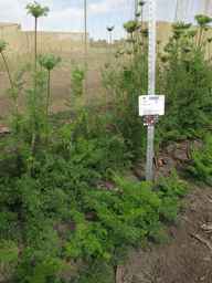 PI_349267_84ncai01_SD_PL_XX_2013-07-29_01.jpg