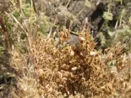 PI_349267_84ncai01_SD_SD_XX_2013-08-29_02.jpg