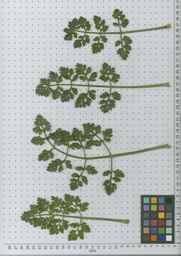 PI_478883_84ncai01_SD_PL_LV_2010-07-14_01.jpg