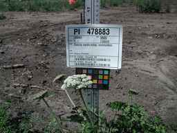 PI_478883_84ncai01_SD_PL_UM_2010-08-05_01.jpg