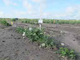 PI_478883_84ncai01_SD_PL_XX_2010-08-18_01.jpg