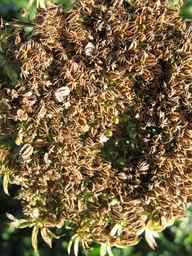 PI_478883_84ncai01_SD_SD_XX_2010-10-07_02.jpg