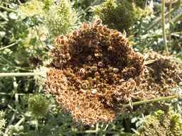 PI_478883_84ncai01_SD_SD_XX_2013-08-29_01.jpg