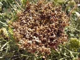 PI_478883_84ncai01_SD_SD_XX_2013-08-29_02.jpg