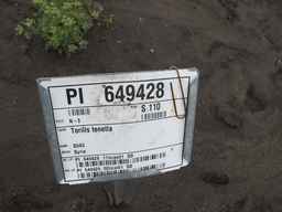 PI_649428_02ncai01_SD_PL_XX_2011-08-05_01.jpg