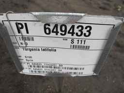 PI_649433_01ncai01_SD_PL_XX_2011-08-05_01.jpg