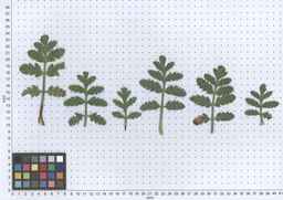 PI_649433_12ncax01_SD_PL_LV_2013-06-06_02.jpg