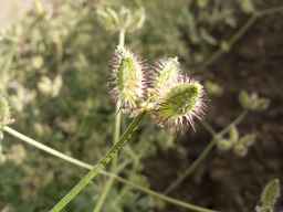 PI_649433_12ncax01_SD_PL_UM_2013-06-28_02.jpg