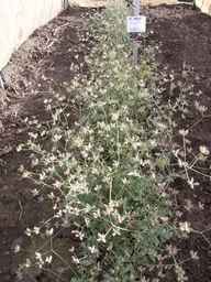PI_649433_12ncax01_SD_PL_XX_2013-06-28_03.jpg