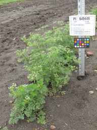 PI_649446_02ncai01_SD_PL_XX_2011-08-05_02.jpg