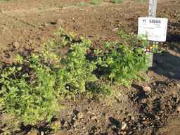 PI_649446_02ncai01_SD_PL_XX_2011-08-19_03.jpg