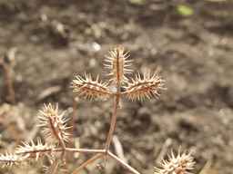 PI_649446_02ncai01_SD_SD_XX_2013-08-29_03.jpg