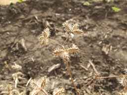 PI_649446_02ncai01_SD_SD_XX_2013-08-29_04.jpg