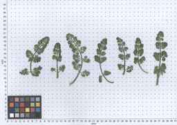 PI_652233_03ncai01_SD_PL_LV_2013-05-29_02.jpg