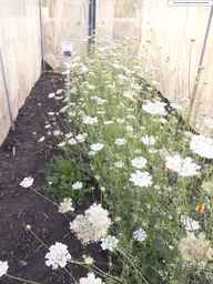 PI_652233_03ncai01_SD_PL_XX_2013-08-02_01.jpg