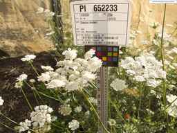 PI_652233_03ncai01_SD_PL_XX_2013-08-02_04.jpg