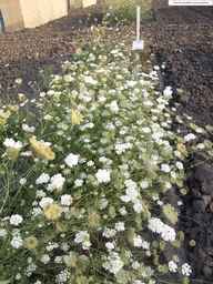 PI_652233_03ncai01_SD_PL_XX_2013-08-23_02.jpg