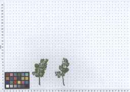 PI_652327_06ncab01_SD_PL_LV_2011-07-12_01.jpg