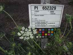 PI_652329_04ncai01_SD_PL_UM_2010-07-21_01.jpg