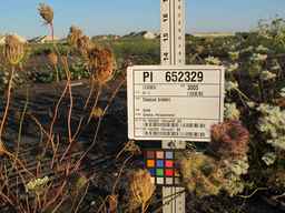 PI_652329_04ncai01_SD_PL_UM_2010-08-27_04.jpg