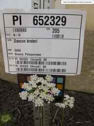 PI_652329_04ncai01_SD_PL_UM_2013-06-21_01.jpg