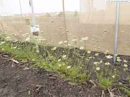 PI_652329_04ncai01_SD_PL_XX_2013-06-21_01.jpg