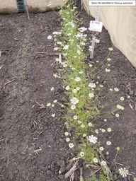 PI_652329_04ncai01_SD_PL_XX_2013-06-21_02.jpg
