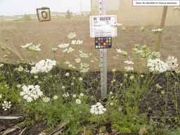 PI_652329_04ncai01_SD_PL_XX_2013-06-21_03.jpg