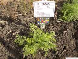 PI_652329_04ncai01_SD_PL_XX_2013-08-02_02.jpg