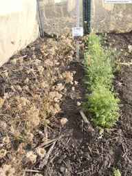 PI_652329_04ncai01_SD_PL_XX_2013-08-02_03.jpg