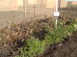 PI_652329_04ncai01_SD_PL_XX_2013-08-02_04.jpg