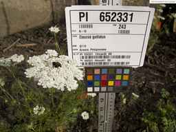 PI_652331_04ncai01_SD_PL_UM_2013-07-03_05.jpg