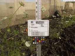 PI_652331_04ncai01_SD_PL_XX_2013-07-03_01.jpg