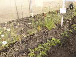 PI_652331_04ncai01_SD_PL_XX_2013-07-03_03.jpg