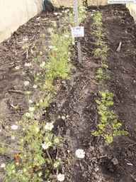 PI_652331_04ncai01_SD_PL_XX_2013-07-03_04.jpg