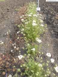 PI_652331_04ncai01_SD_PL_XX_2013-08-23_03.jpg